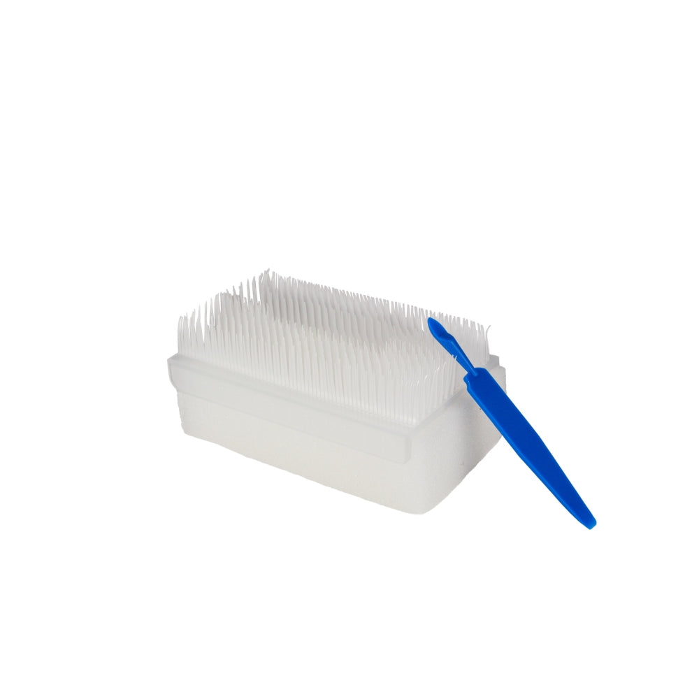 Bild einer Handwaschbürste mit Nagelreiniger. Die Bürste hat einen ergonomischen Griff und besteht aus robustem Kunststoff in einem hellen Farbton. Die Borsten sind in zwei verschiedenen Längen angeordnet: kürzere, härtere Borsten an der einen Seite für gründliches Reinigen und längere, weichere Borsten auf der anderen Seite für empfindliche Stellen. Der Nagelreiniger befindet sich an einer Seite der Bürste und hat eine scharfe, schmale Kante, um tiefsitzenden Schmutz unter den Nägeln effektiv zu entfernen.