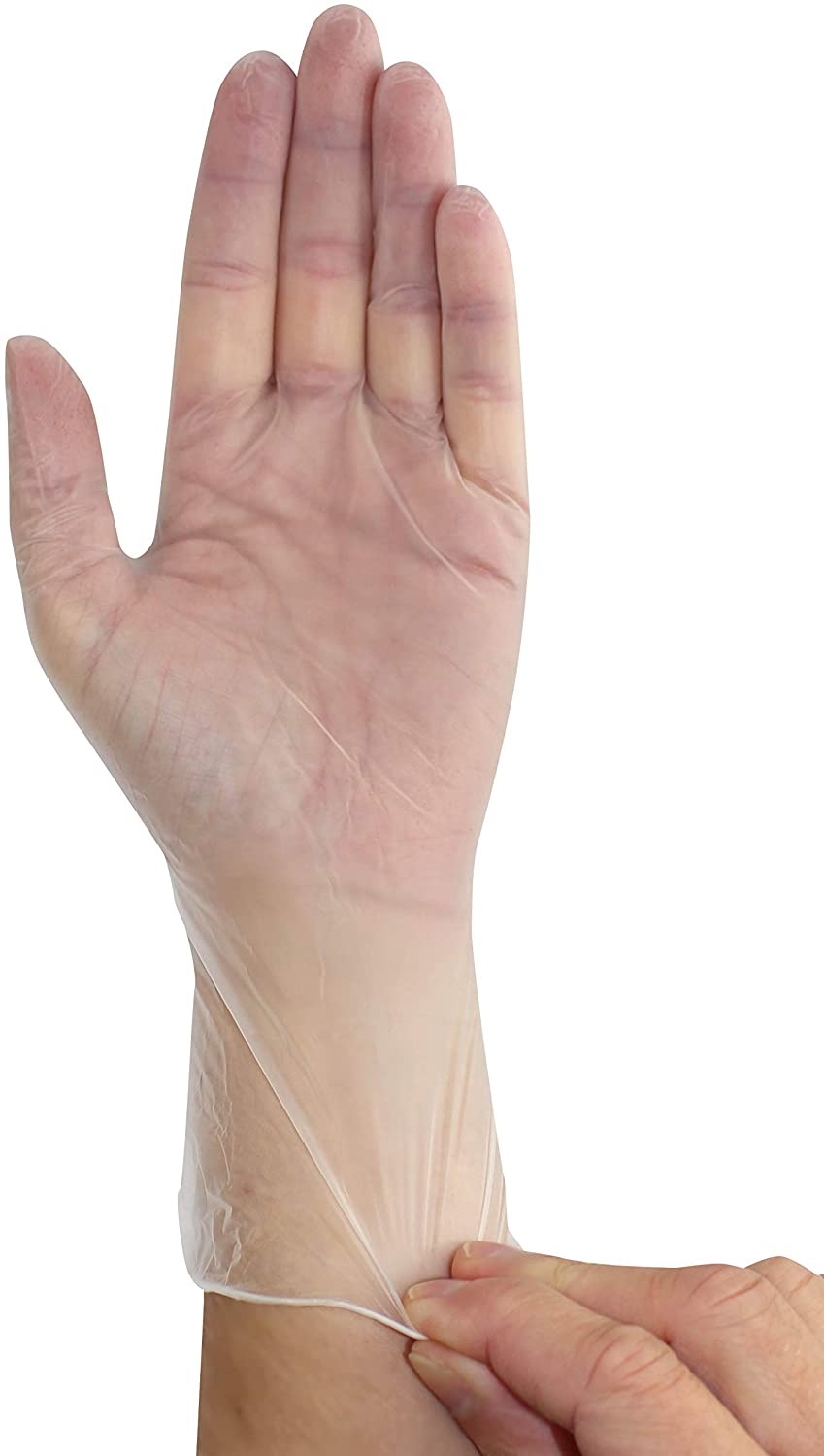 Transparente, gepuderte Einmalhandschuhe aus Vinyl in Größe M. Die Handschuhe liegen ordentlich nebeneinander, wobei die Innenseiten sichtbar sind. Die Oberfläche der Handschuhe ist leicht gebogen und zeigt die Fingerform, was ihnen ein natürliches Aussehen verleiht. Der dünne Rand an den Handgelenken ist deutlich erkennbar, und die Handschuhe zeichnen sich durch eine glatte Textur aus. Ideal für medizinische, gastronomische oder hygienische Anwendungen.