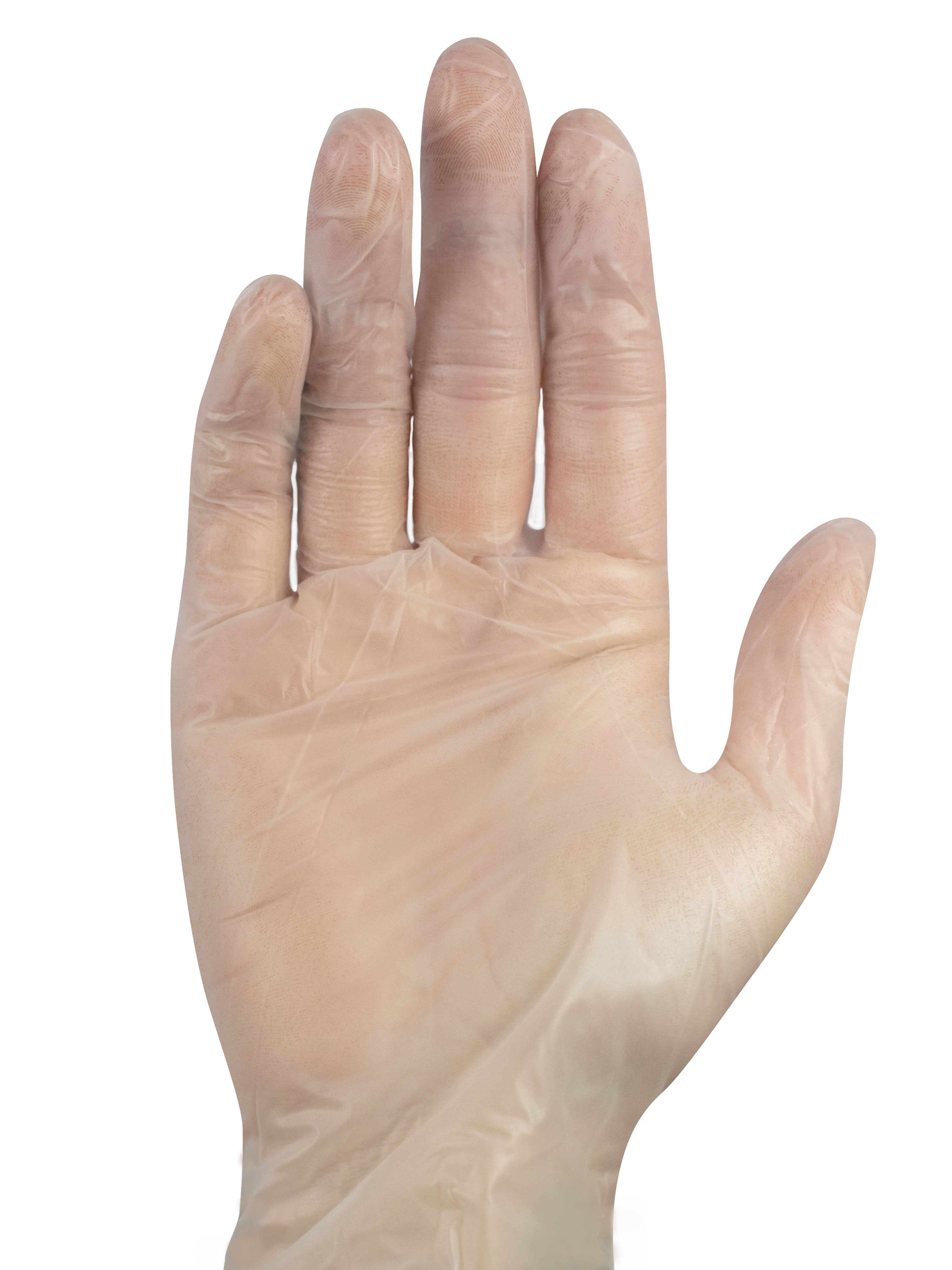 Ein Paket mit Noba NoBaglove Vinylhandschuhen, puderfrei, Größe L. Die Handschuhe sind transparent und in einer handlichen Verpackung angeordnet, die eine farbenfrohe, ansprechende Gestaltung aufweist. Die Vorderseite der Verpackung zeigt die Produktbezeichnung "Noba NoBaglove" sowie Informationen über die puderfreie Eigenschaft. Die Hintergrundfarbe der Box ist hell, was die Handschuhe hervorhebt.