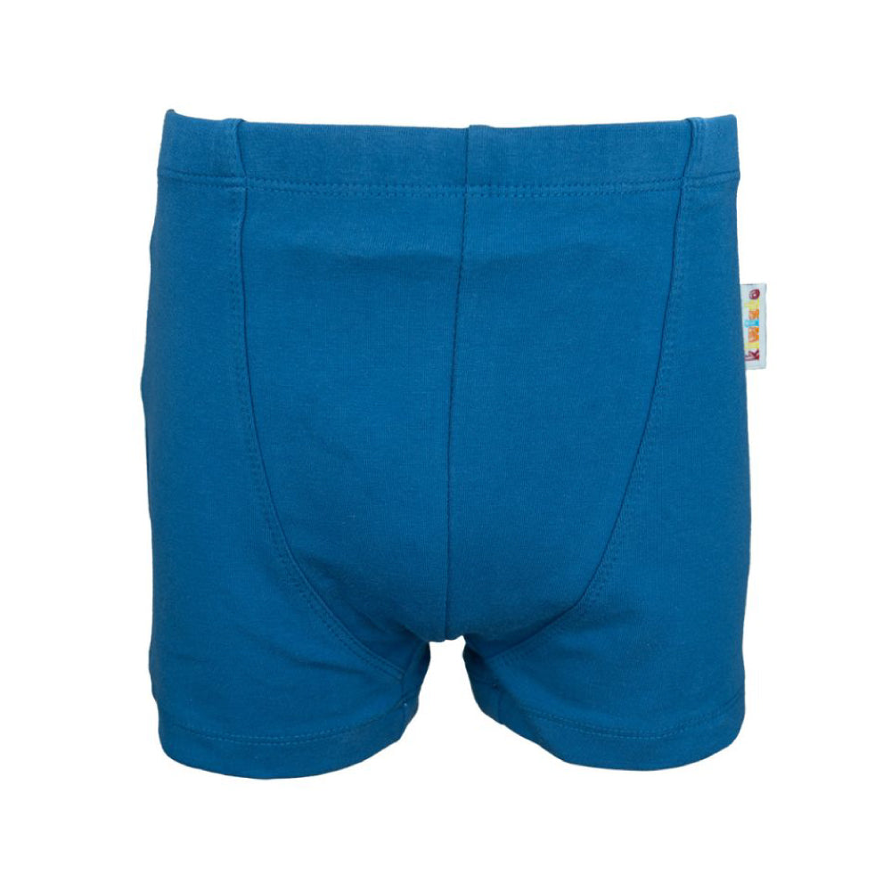 Frontalansicht der Vorderseite der Kiwisto Kids ActivePants V2 blau.