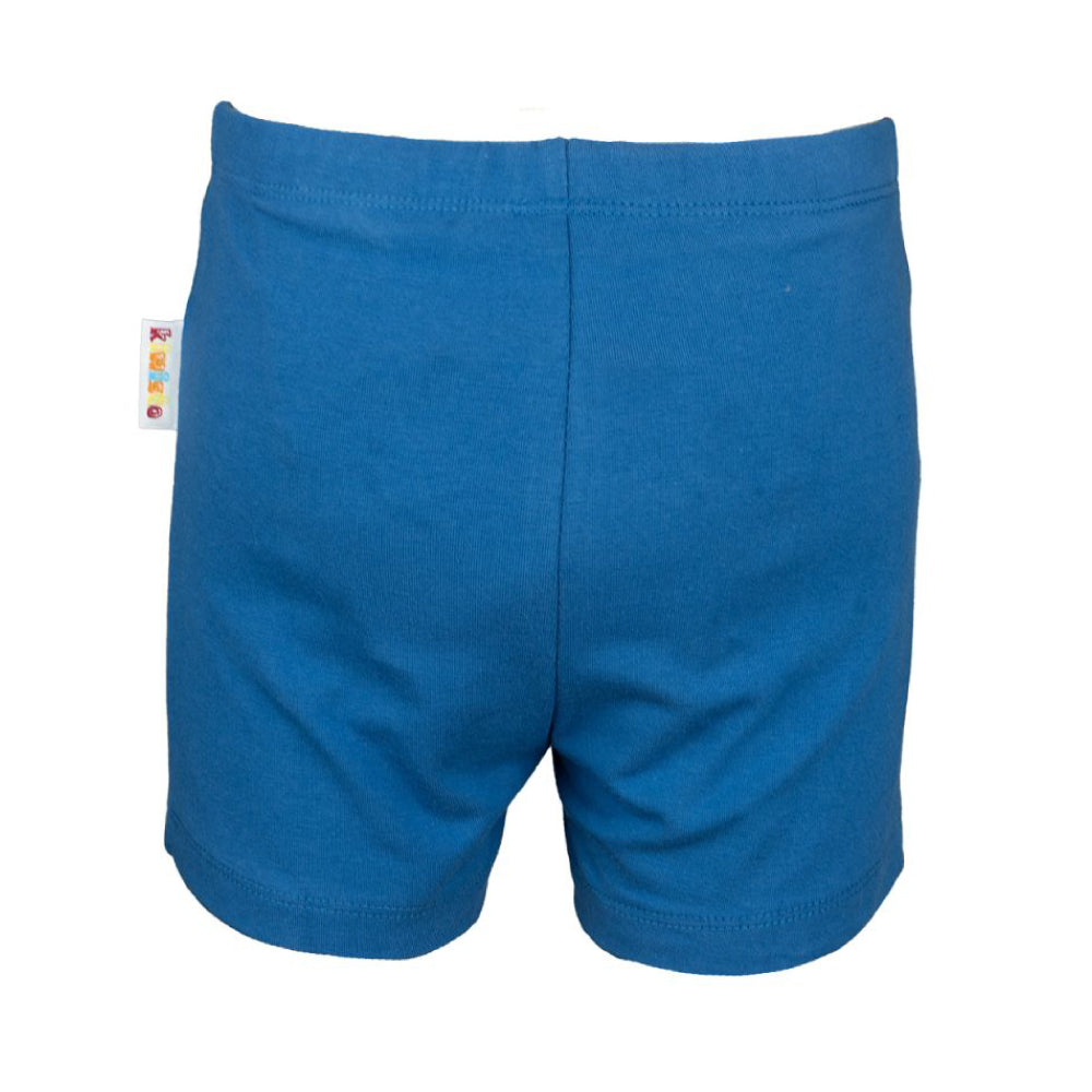 Frontalansicht der Rückseite der Kiwisto Kids ActivePants V2 blau.